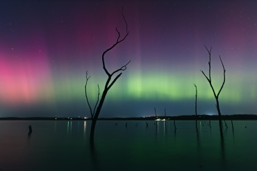 Aurora-4