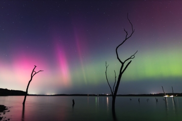 Aurora-6